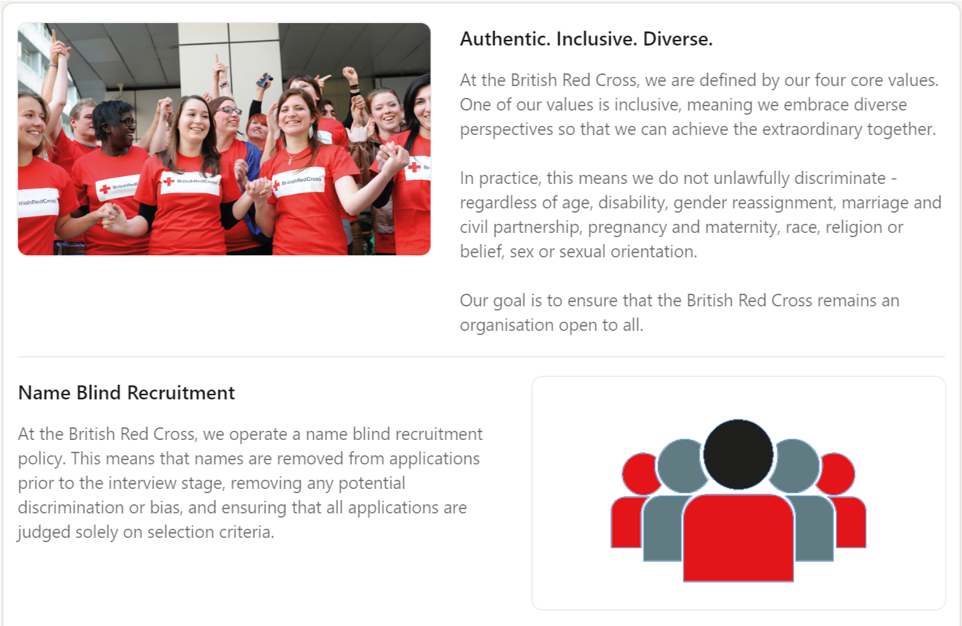 Details of the British Red Cross's Career Page, which includes a section on DEI and the organization's Name Blind Recruitment process.